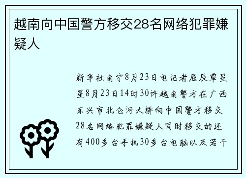 越南向中国警方移交28名网络犯罪嫌疑人